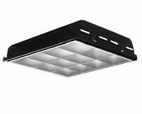 DEEPCEL PLUS 2ft x 4ft 2T8U6 120VEL 12L
