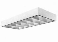 DEEPCEL SURFACE 2ft x 4ft 2T8 120VEL 12L