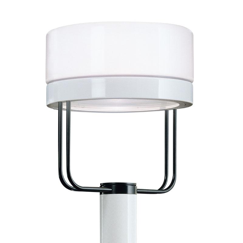 CPG Glowtop, 18