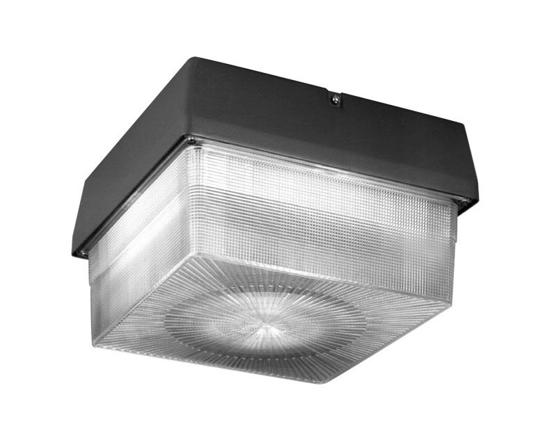 HPS, 75W, 120-277V, w/Lamp, Canopy